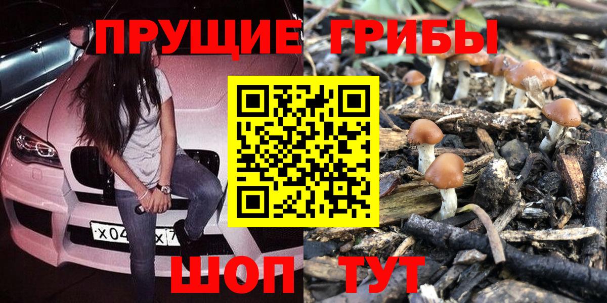 Бийск  как найти наркотики  Вход с VPN  Галлюциногенные грибы Magic Shrooms 