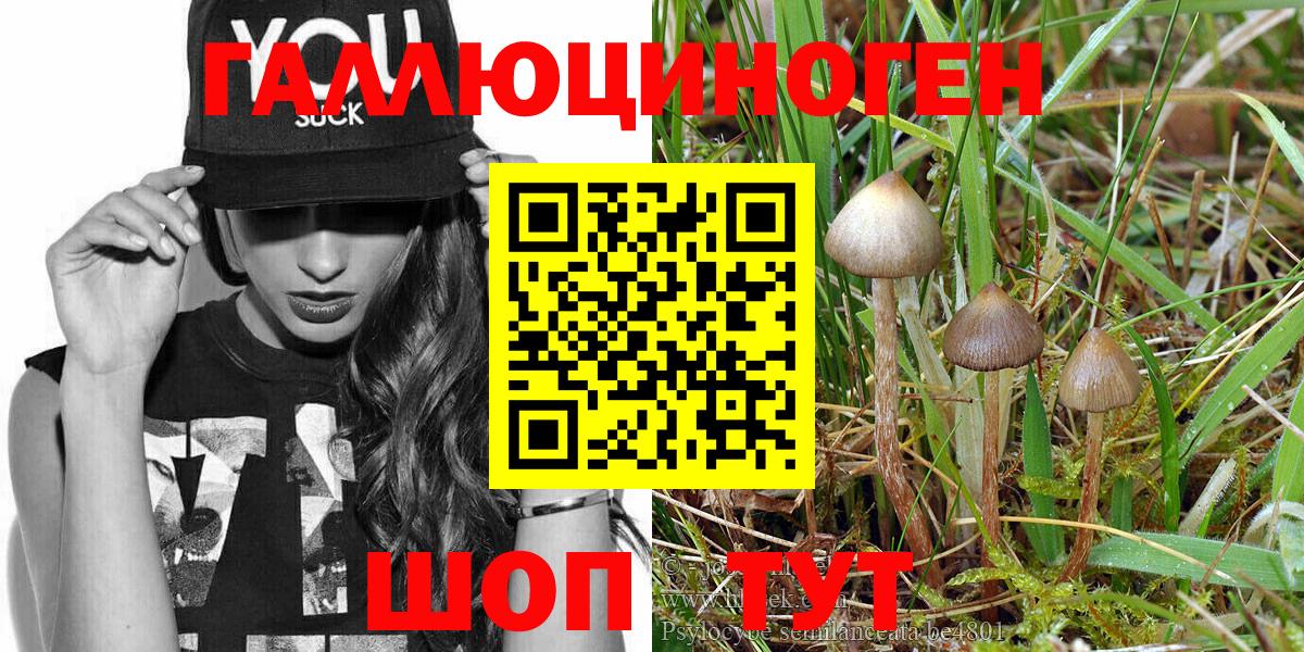 Псилоцибиновые грибы GOLDEN TEACHER Бийск